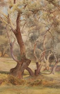 Watercolour