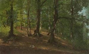Sommerlicher Laubwald. Sommerlicher Laubwald.