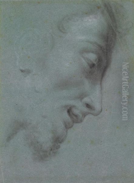 A Bearded Man In Profile Facing Right - view 1