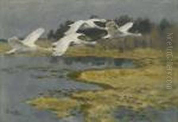 Strackande Svanar - view 1