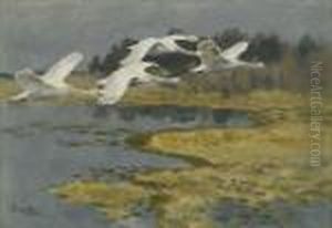 Strackande Svanar by Bruno Andreas Liljefors