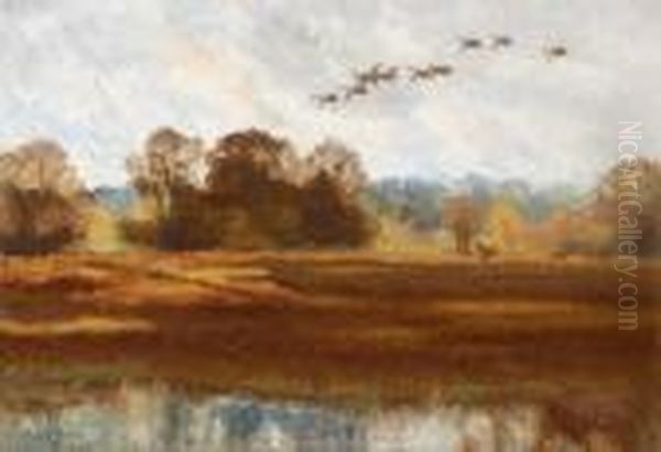 A Flight Of Wild Ducks - view 1