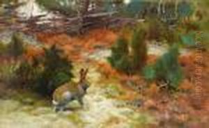 Autumn Landscape With Hare