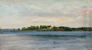 In The Archipelago by Arvid Liljelund