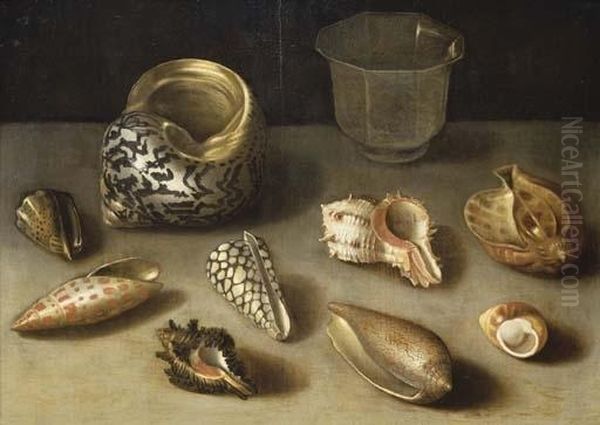 Exotic Shells On A Table With A Glass Beaker - view 1