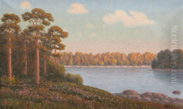 Insjolandskap - view 1