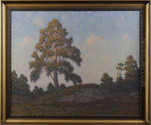 Tallar I Solnedgang by Otto Lindberg