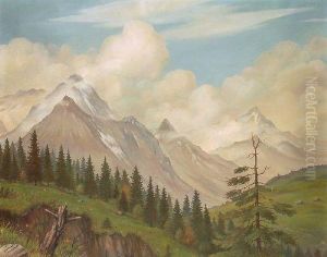 "wetterstein"
