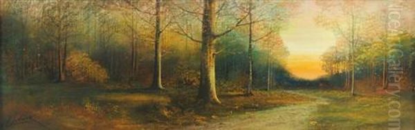 Forest Landscape - view 1