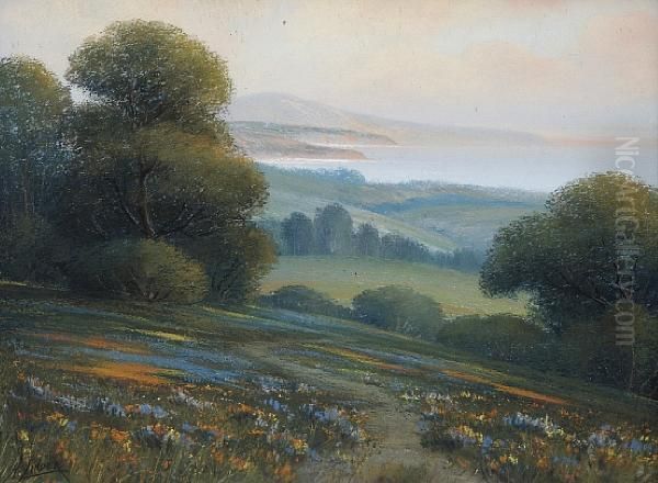Wildflowers Along The Coast Near Santabarbara, Road Through The Hills (a Pair) - view 1