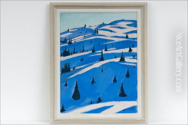 "pallastunturi". - view 1