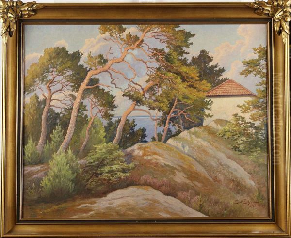 Kustlandskap Med Tallar - view 1