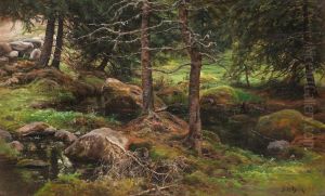 A Clearing In The Forest