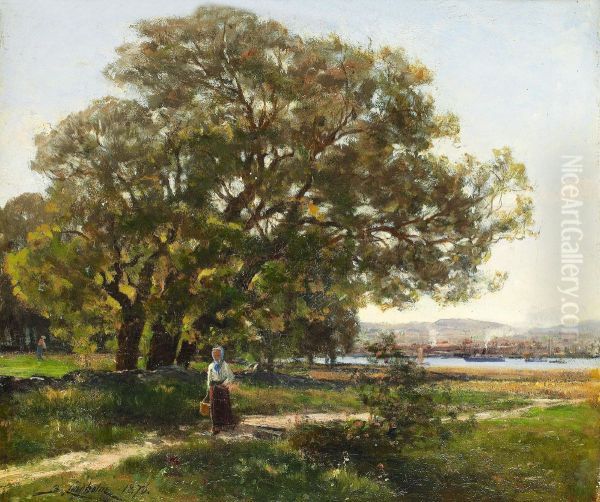 Hisingen En Sommardag - view 1