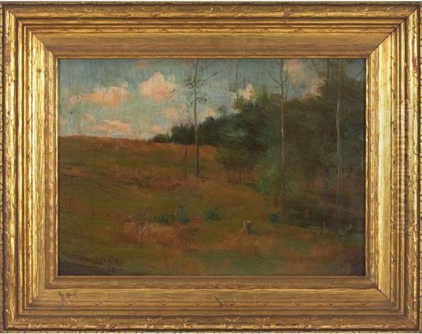 Forest Clearing - view 1