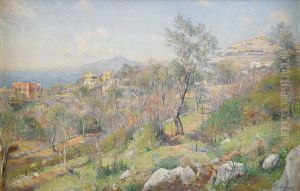 Utsikt Fran Sorrento Med Neapel Och Vesuvius I Fonden