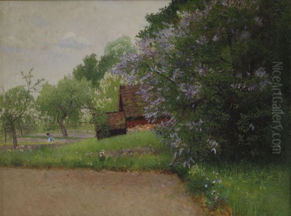 Tradgardsmiljo Med Blommande Syrener - view 1