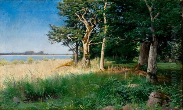 Acalm Summer Day - view 1