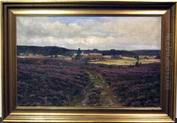 Ljunglandskap Fran Smaland Med Gard. - view 1