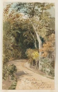 An Album Of Studies Of Trees In South-west London by Thomas Lindsay