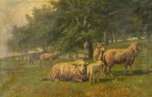 Sheep Grazing In A Meadow by Thomas Corwin Lindsay