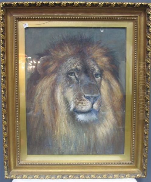 Portrait Of A Male Lion - view 1