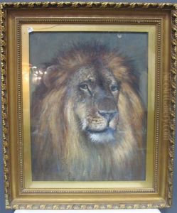 Portrait Of A Male Lion