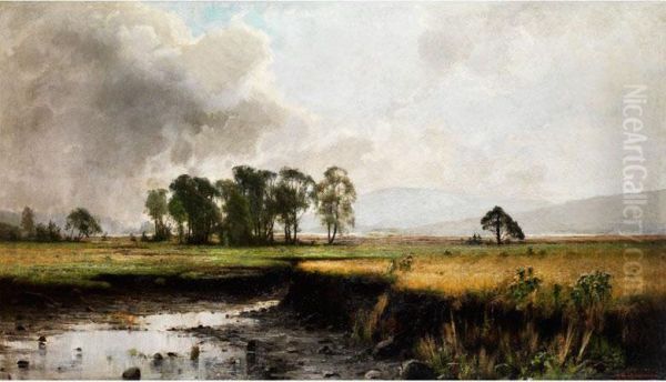 Weite Moorebene Mit Jungen Baumen Vorhugel Am Horizont - view 1