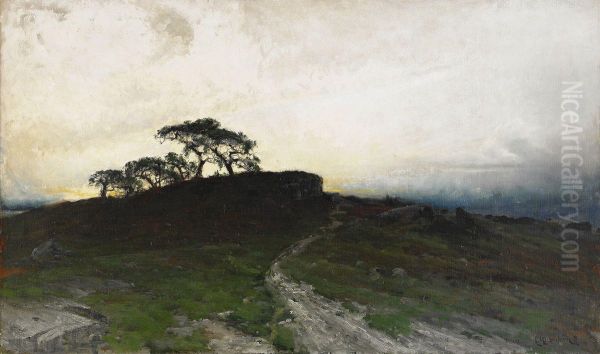 Aftonstamning Over Hedlandskap - view 1