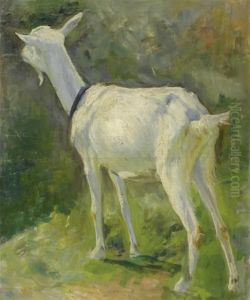 Mountain Goat by Carl August Liner