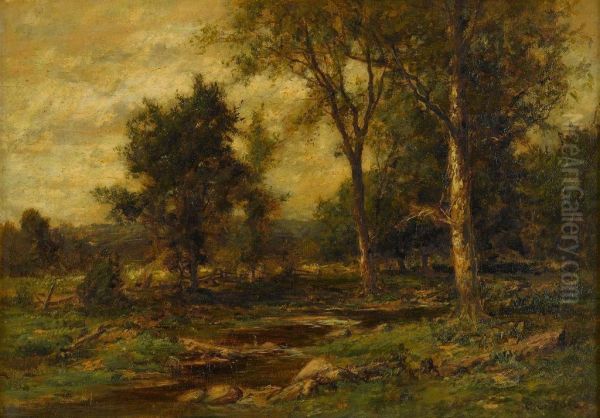 River In A Wooded Landscape - view 1