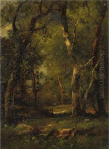 A Sunny Day In The Woods by Charles Linford