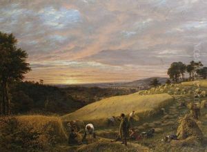 Harvesting At Sunset