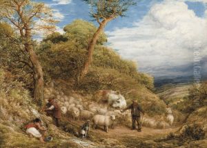 The Sheep Drove The Sheep Drove
