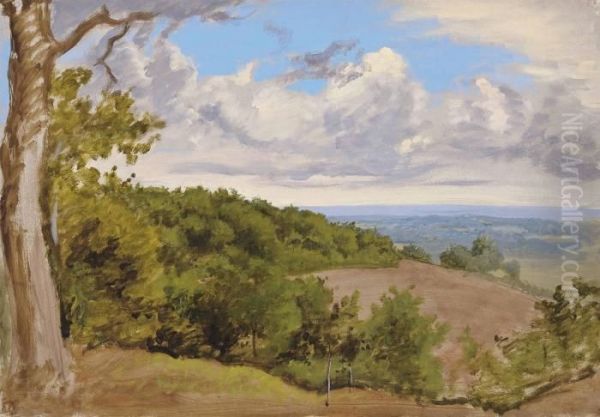 View Near Redhill, Surrey - view 1