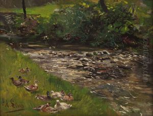 Entengruppe An Sommerlichem Bachlauf