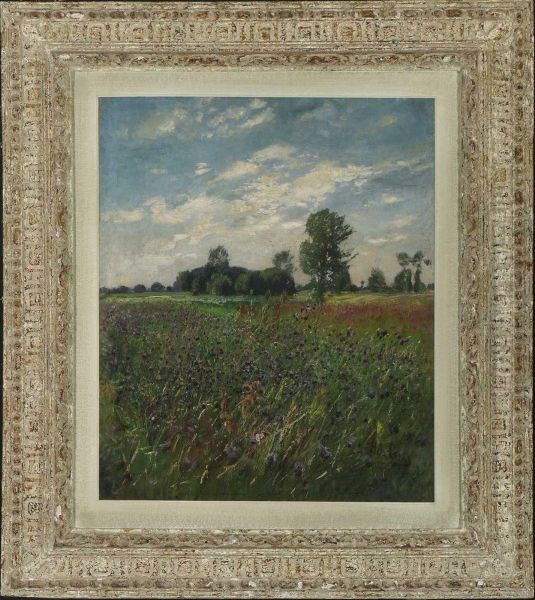 Sommerliche Wiesenlandschaft. - view 1