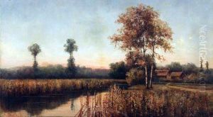 Scene At Sunset