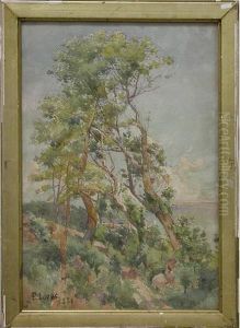 Arbres En Bord De Mediterranee by Paul Lippe