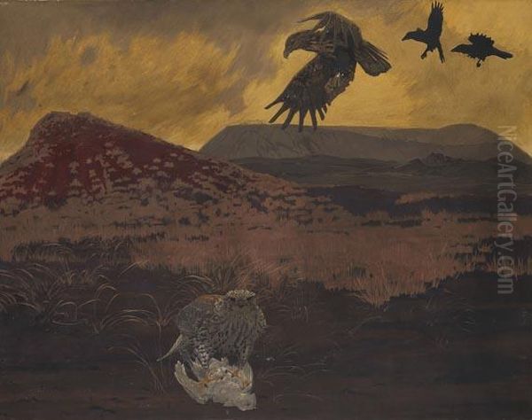 Seeadler Und Falke Auf Island - view 1