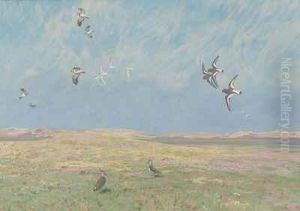 Verschiedene Kustenvogel In Sommerlicher Dunenlandschaft by Friedrich Lissmann