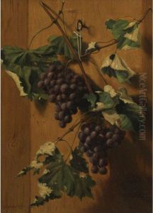 Grapes Hanging On A Wall by A. Platte Little