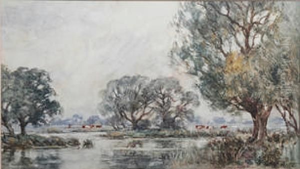 Cattle Grazing In A Waterside Pasture - view 1
