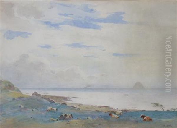 Cattle Grazing With The Bass Rock In The Distance - view 1