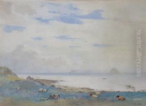Cattle Grazing With The Bass Rock In The Distance