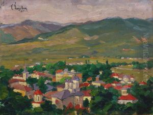 Overview Of Valcea by Corneliu Liuba