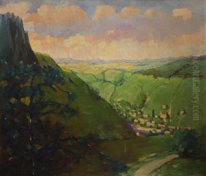 Landscape At Sasca Montana by Corneliu Liuba
