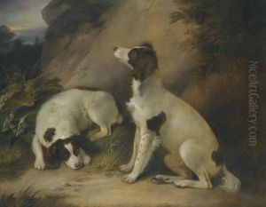 Two Springer Spaniels In A Rocky Landscape