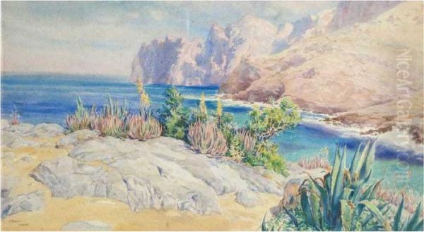 Pollenca - view 1