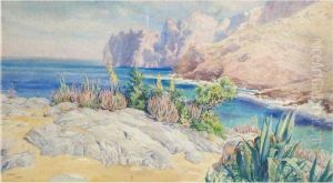Pollenca by Joan Llaverias Labro